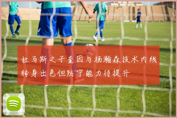 杜马斯之子奎因与杨瀚森技术内线转身出色但防守能力待提升