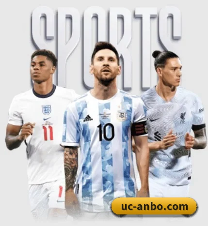 五大服务分区,信息按项目分类 - 多运动项目内容板块